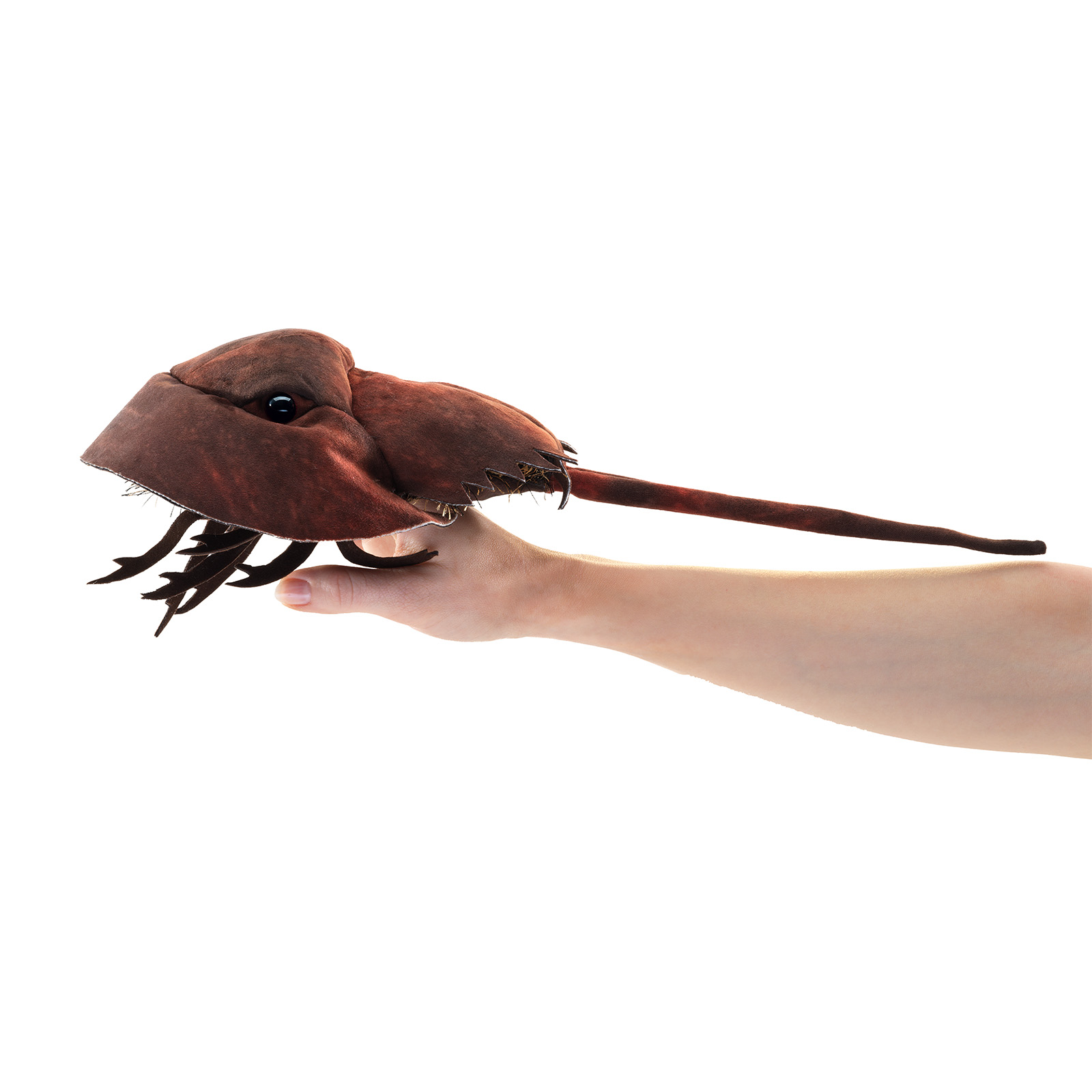 Folkmanis hand puppet horseshoe crab