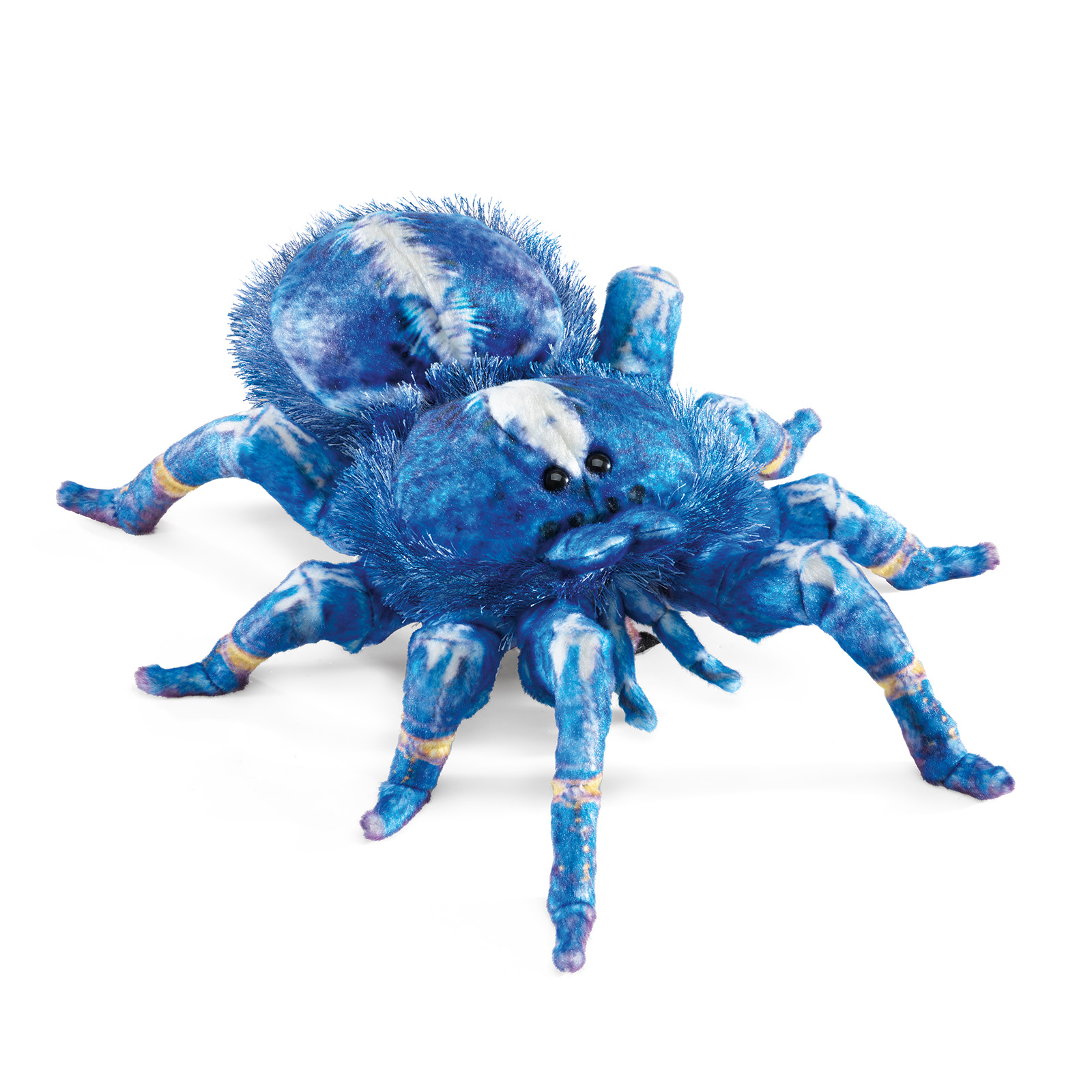 Folkmanis Handpuppe Blaue Ornament-Vogelspinne