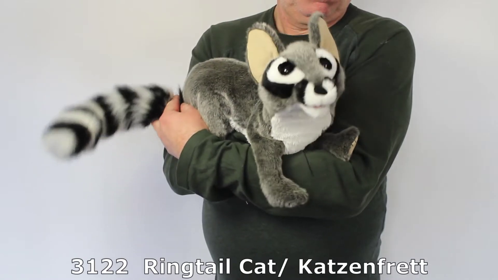 Video: Folkmanis hand puppet ringtail cat